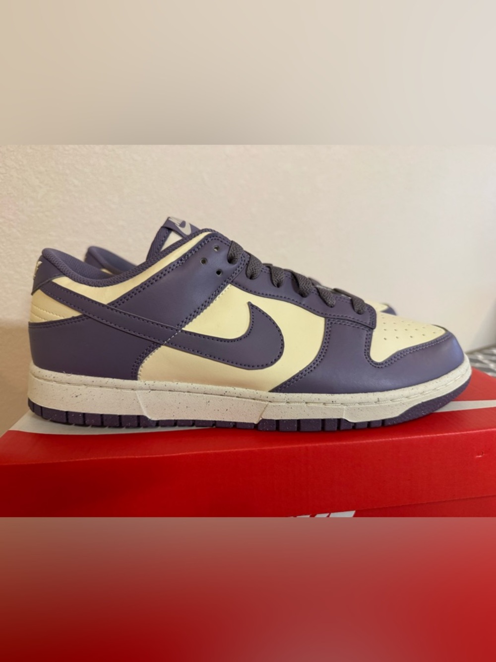 Nike Dunk Low Next Nature Daybreak, Size 10.5M/12W. Brand New